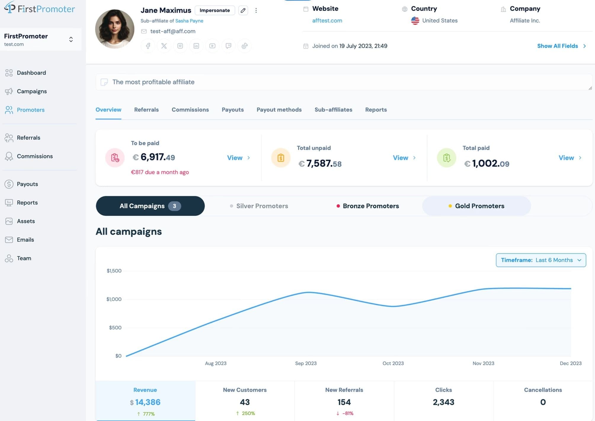 A professional affiliate dashboard showing real-time earnings, conversion metrics, and payout summaries.